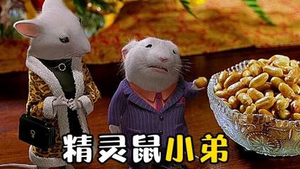 精灵鼠小弟2国语在线观看,最佳精选数据资料_手机版24.02.60
