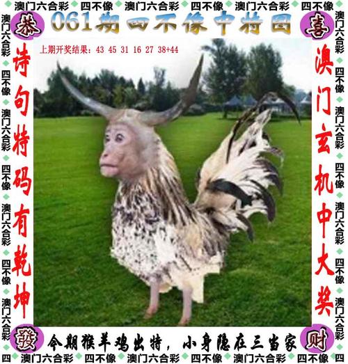 金龙彩资料免费大全,最佳精选数据资料_手机版24.02.60